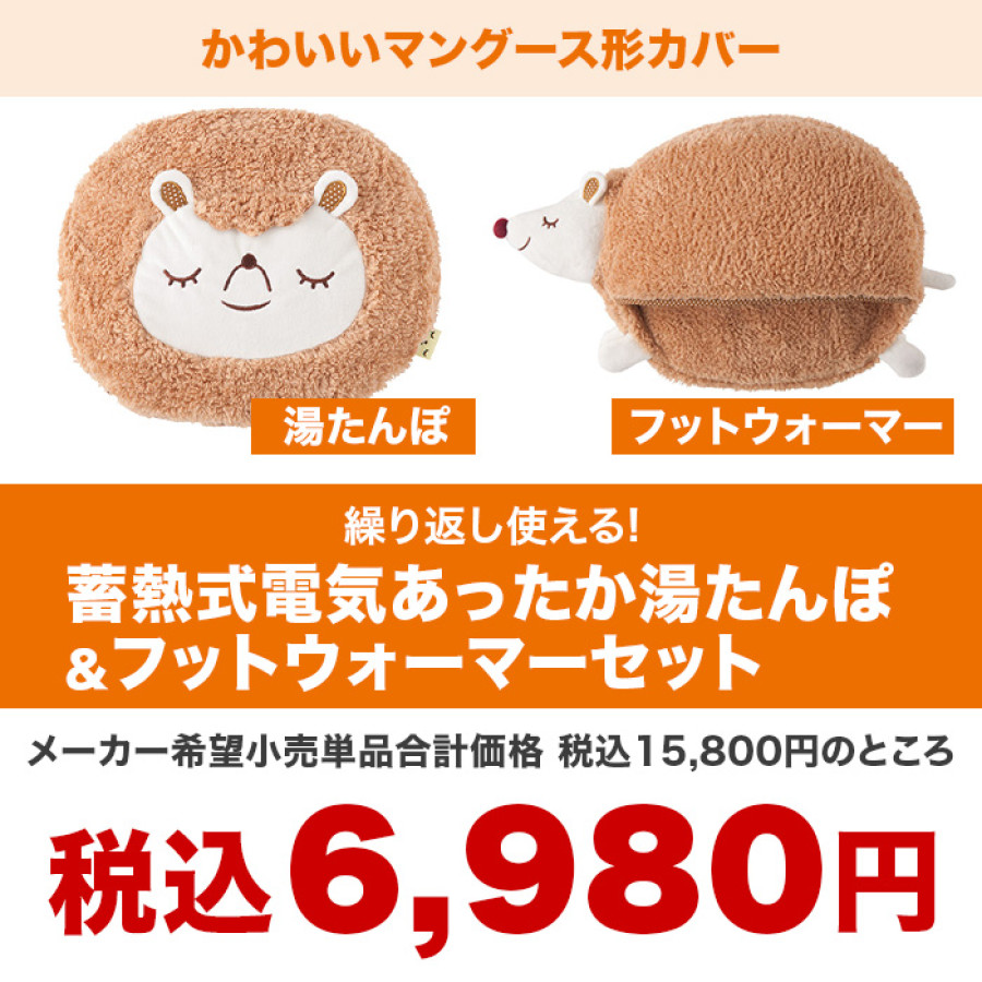 繰り返し使える！蓄熱式電気あったか湯たんぽ＆フットウォーマーセット