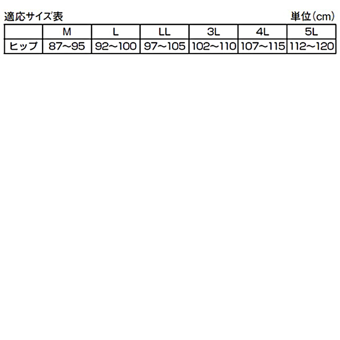 シルエットすっきりレースショーツ6色組(同サイズ)LL・3L