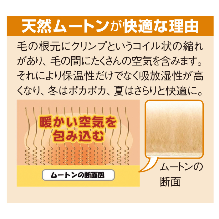 洗えるムートンラグ 長毛タイプ 1匹(55&times;85cm)