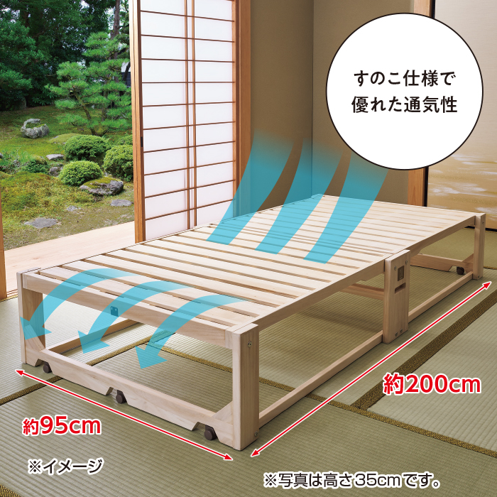 桐らくね プレミアム 高さ24cm