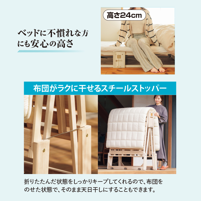 桐らくね プレミアム 高さ24cm