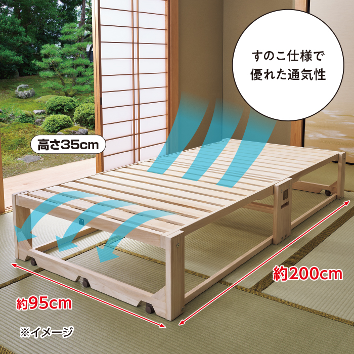 桐らくね プレミアム 高さ35cm