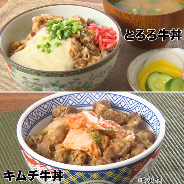 吉野家牛丼の具10食