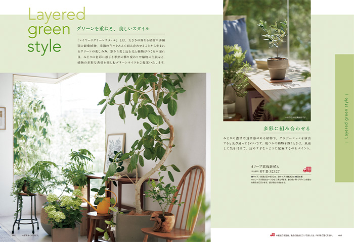 【ギフトカタログ】ミストラル オレガノ