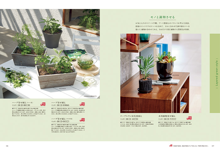 【ギフトカタログ】ミストラル アルニカ