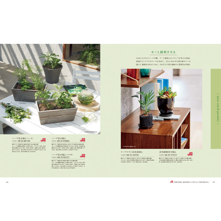 【ギフトカタログ】ミストラル アルニカ