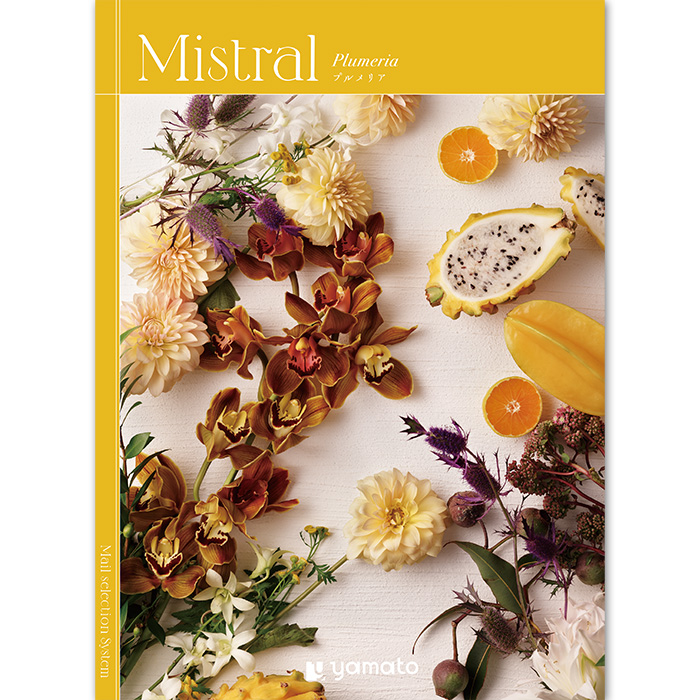 【ギフトカタログ】ミストラル プルメリア