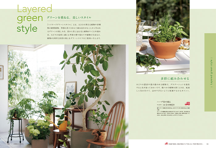 【ギフトカタログ】ミストラル マリーゴールド