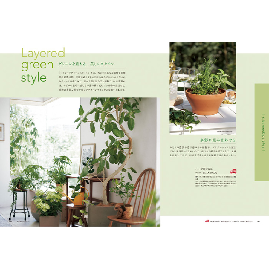 【ギフトカタログ】ミストラル マリーゴールド