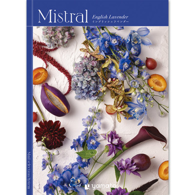 【ギフトカタログ】ミストラル イングリッシュラベンダー