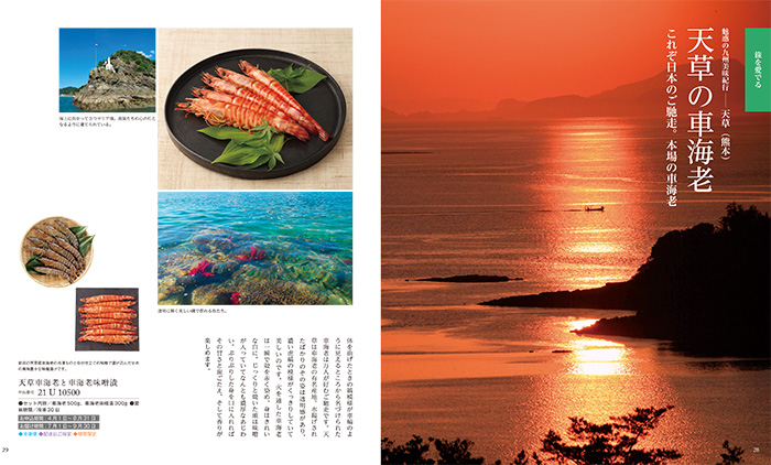 【ギフトカタログ】家庭画報 すおう