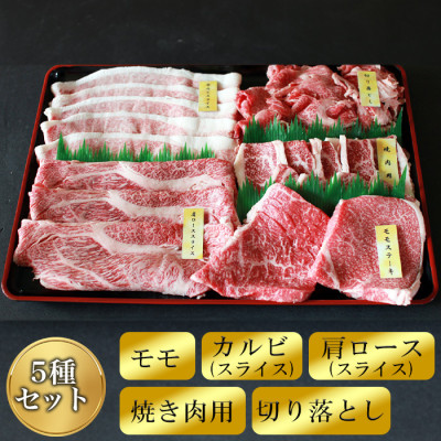 5種も入った!宮崎牛A4ランク以上福袋(5種1kg)