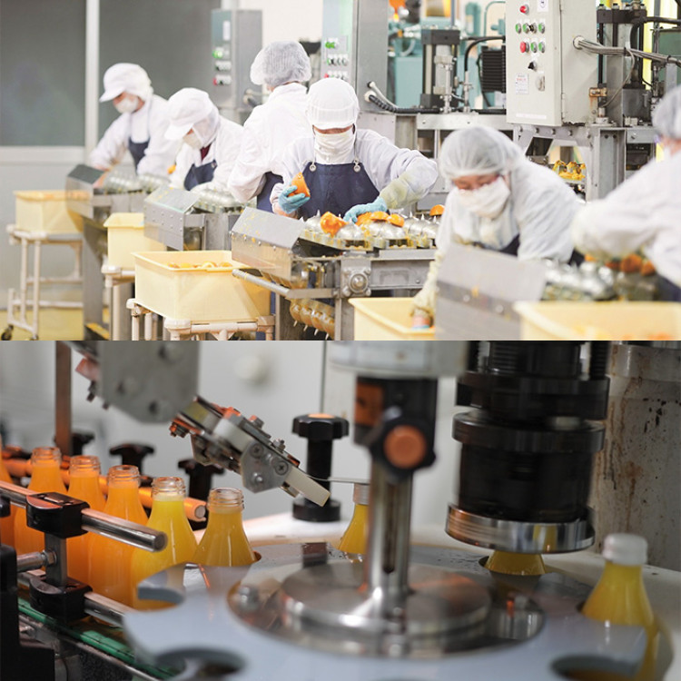 100%ピュアジュースバラエティセット