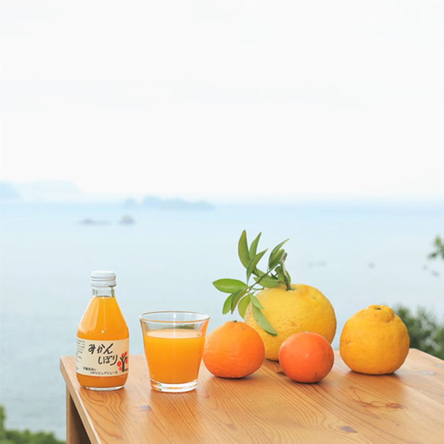 100%ピュアジュースバラエティセット