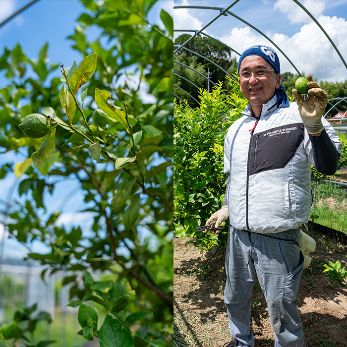 とびしまベースセット