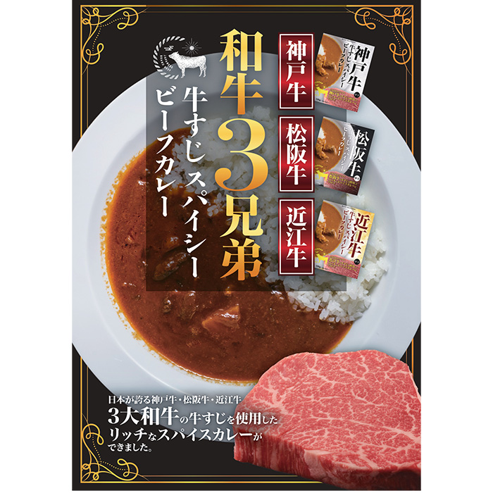 三大和牛すじ肉のカレー3種&times;2食セット