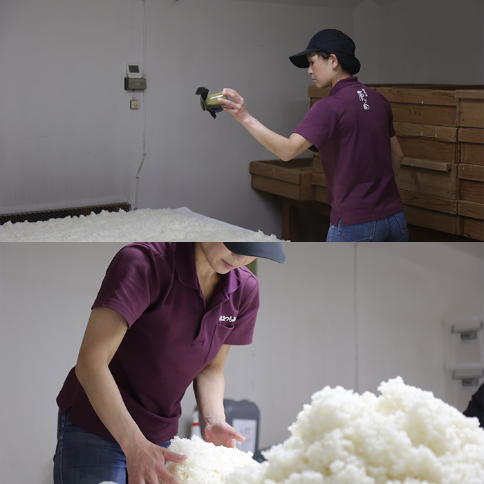 はつもみぢ 麹甘酒 550g&times;6本