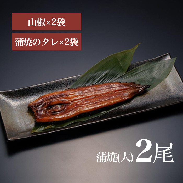 温泉ワインうなぎ 2尾セット