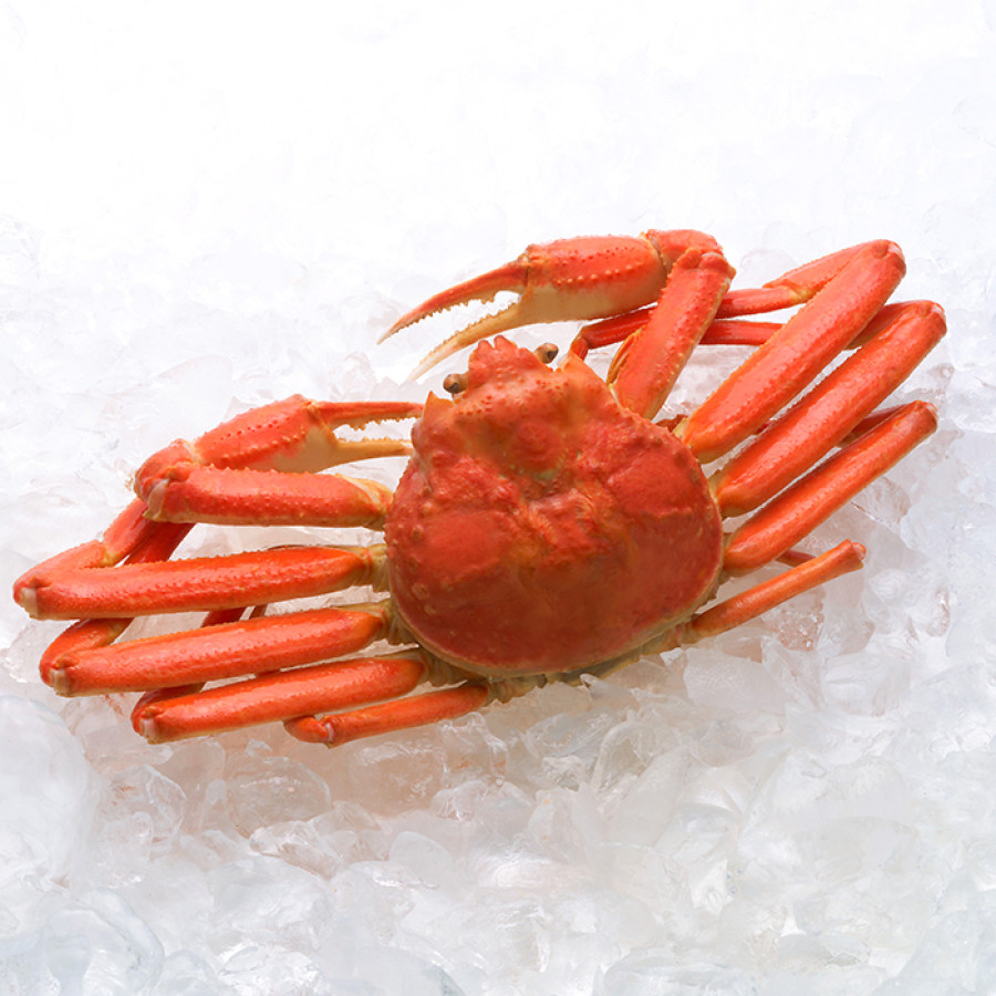 北海かにづくし