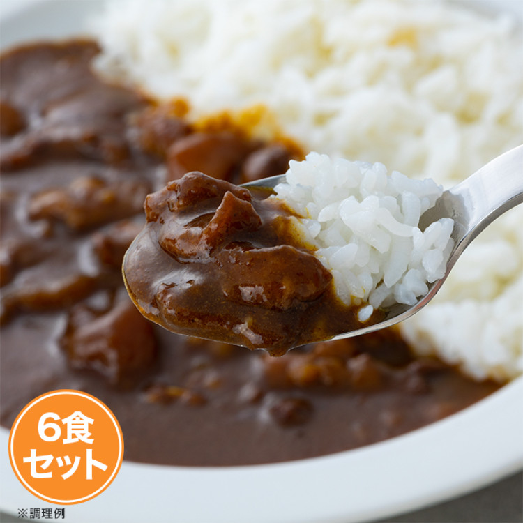 日山のビーフカレー6食セット
