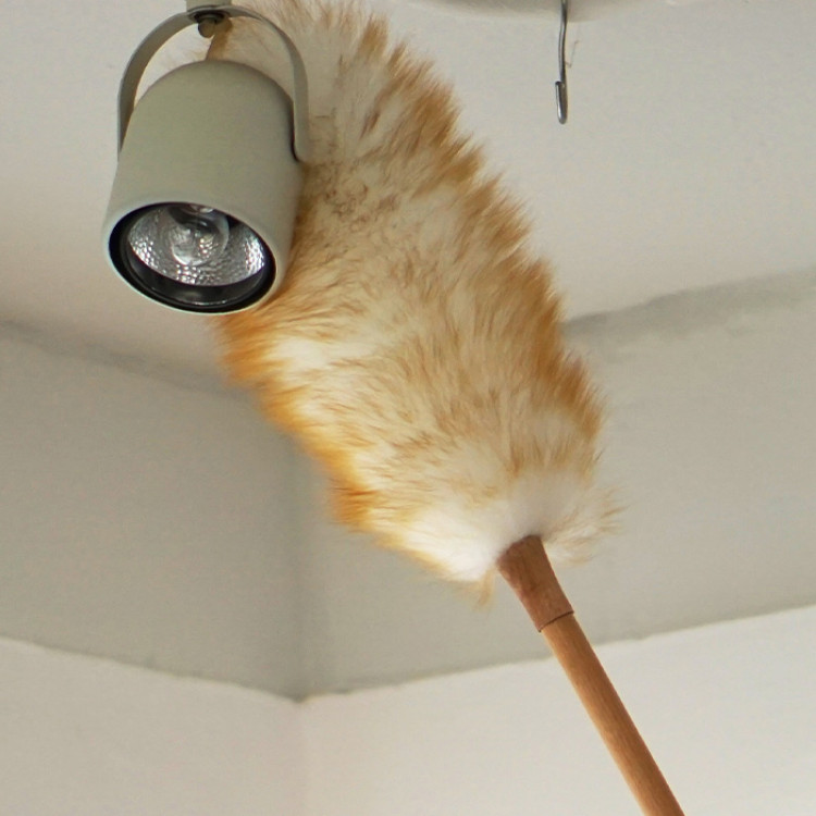 ウールダスターL