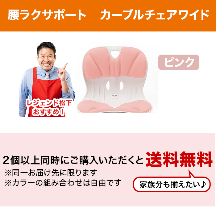 腰ラクサポート カーブルチェア ワイド