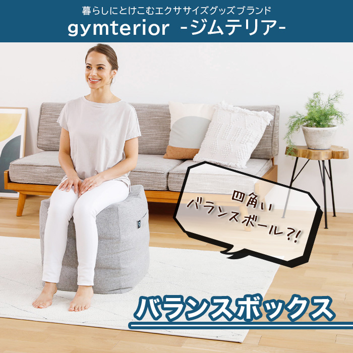 ジムテリア バランスボックス