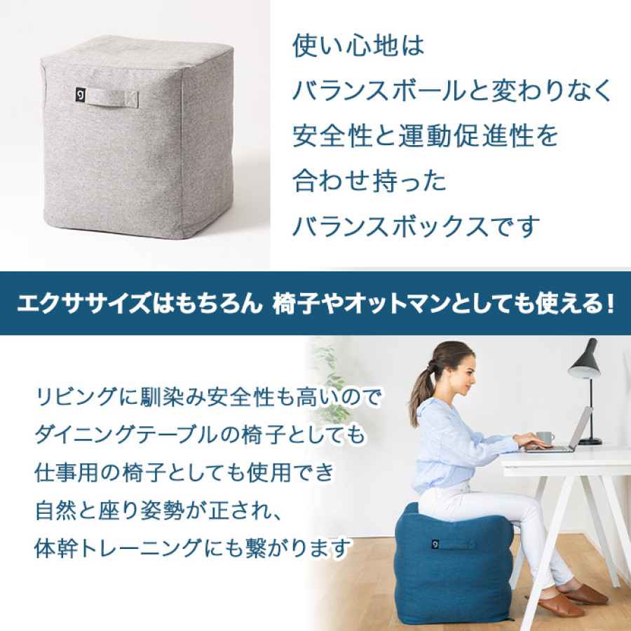 ジムテリア バランスボックス