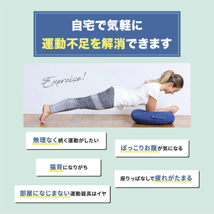 ジムテリア シェイプディスク