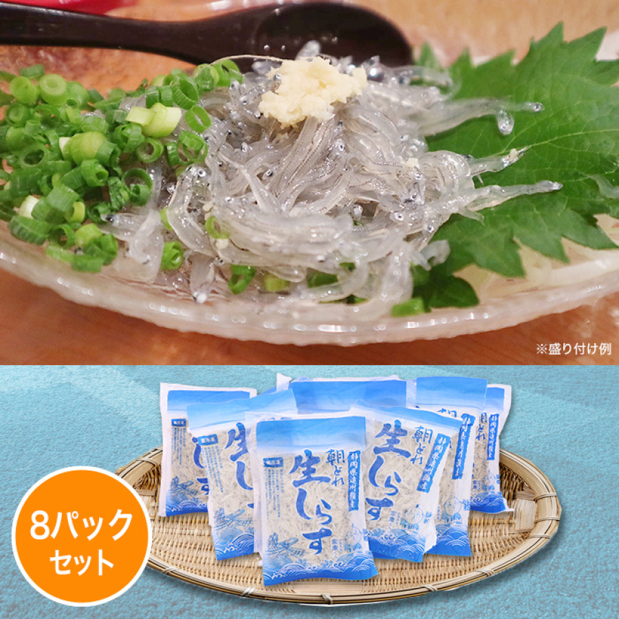 静岡県遠州灘産 冷凍生しらす 8パックセット(各100g)