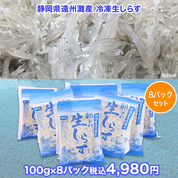 静岡県遠州灘産 冷凍生しらす 8パックセット(各100g)