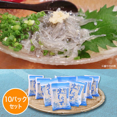 静岡県遠州灘産 冷凍生しらす 10パックセット(各100g)