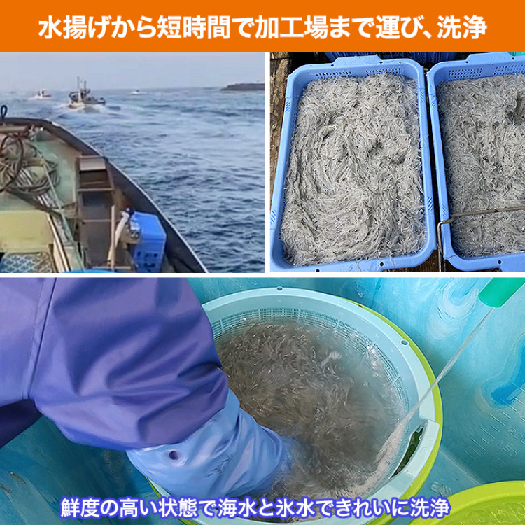 静岡県遠州灘産 冷凍生しらす 10パックセット(各100g)