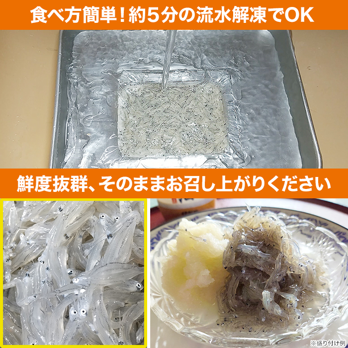 静岡県遠州灘産 冷凍生しらす 12パックセット(各100g)