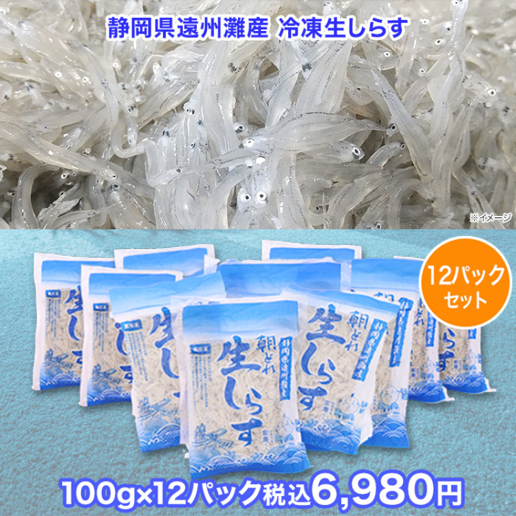 静岡県遠州灘産 冷凍生しらす 12パックセット(各100g)