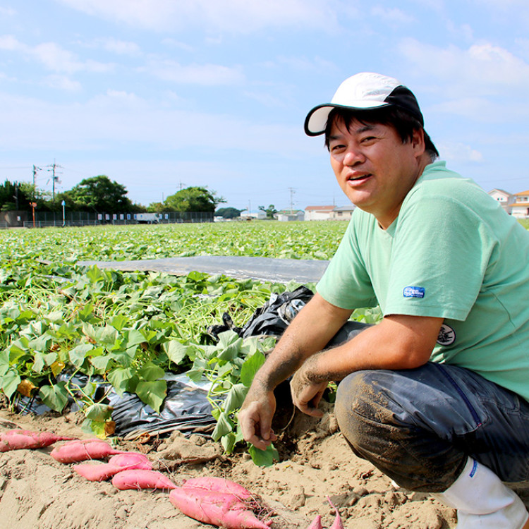 徳島県里浦町直送 吉岡さんちのなると金時10kgセット(土付き)