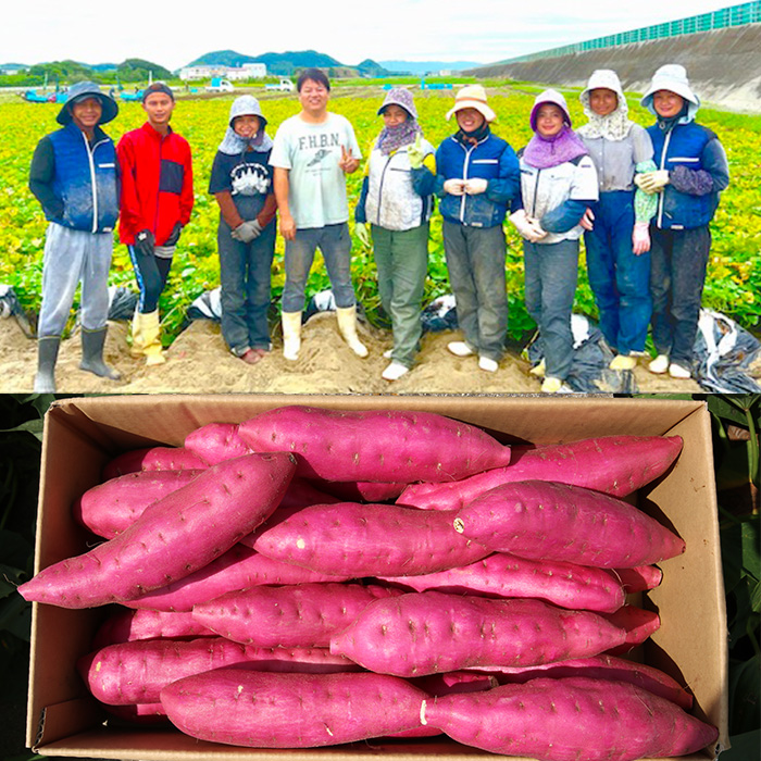 徳島県里浦町直送 吉岡さんちのなると金時 ふぞろい3kgセット