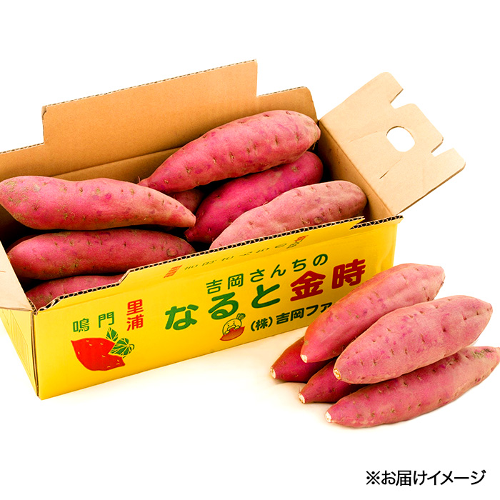 徳島県里浦町直送 吉岡さんちのなると金時 ふぞろい3kgセット