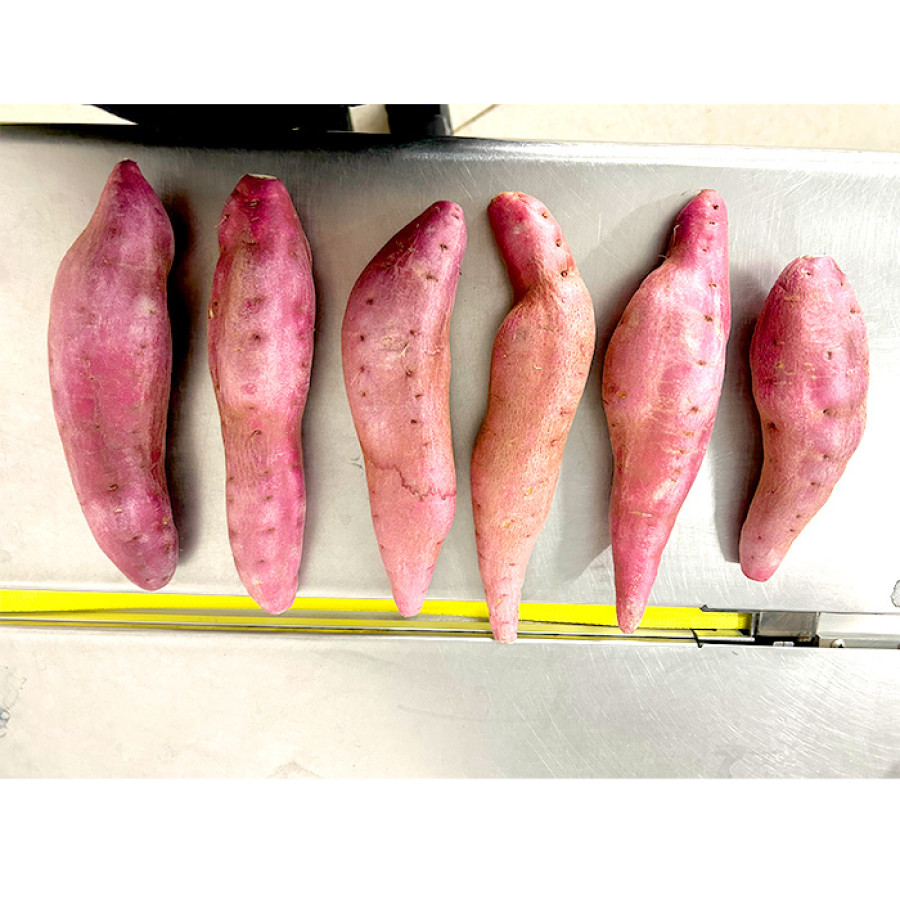 徳島県里浦町直送 吉岡さんちのなると金時 ふぞろい3kgセット