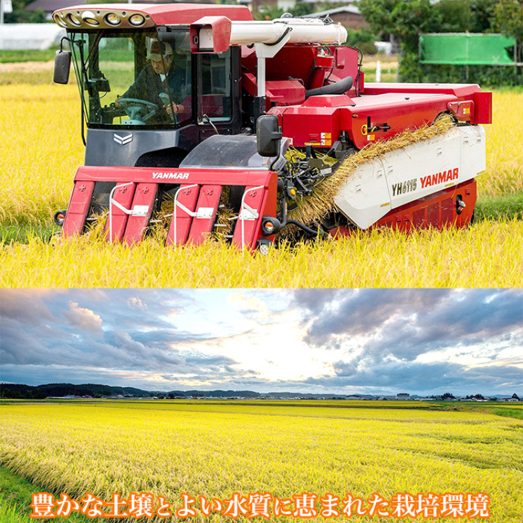 宮城県 十代目遊佐さんのプレミアム米 <つきあかり>5kg