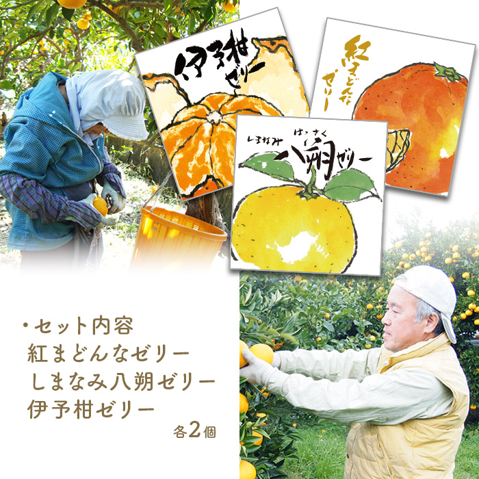 瀬戸内しまなみ柑橘物語 ゼリー6個入