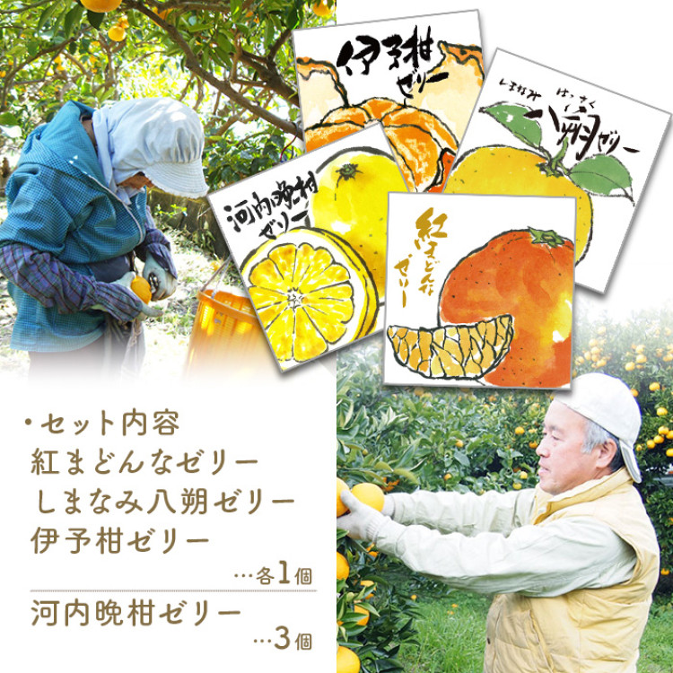 瀬戸内しまなみ柑橘物語 ゼリー4種 6個入