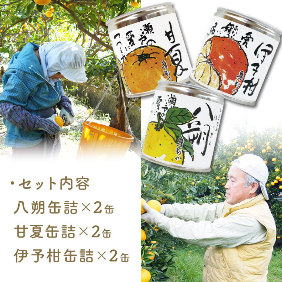 瀬戸内しまなみ柑橘物語 ミックス6缶