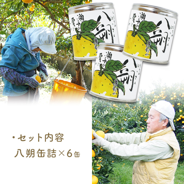 瀬戸内しまなみ柑橘物語 八朔缶詰6缶
