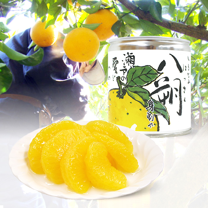 瀬戸内しまなみ柑橘物語 アソート