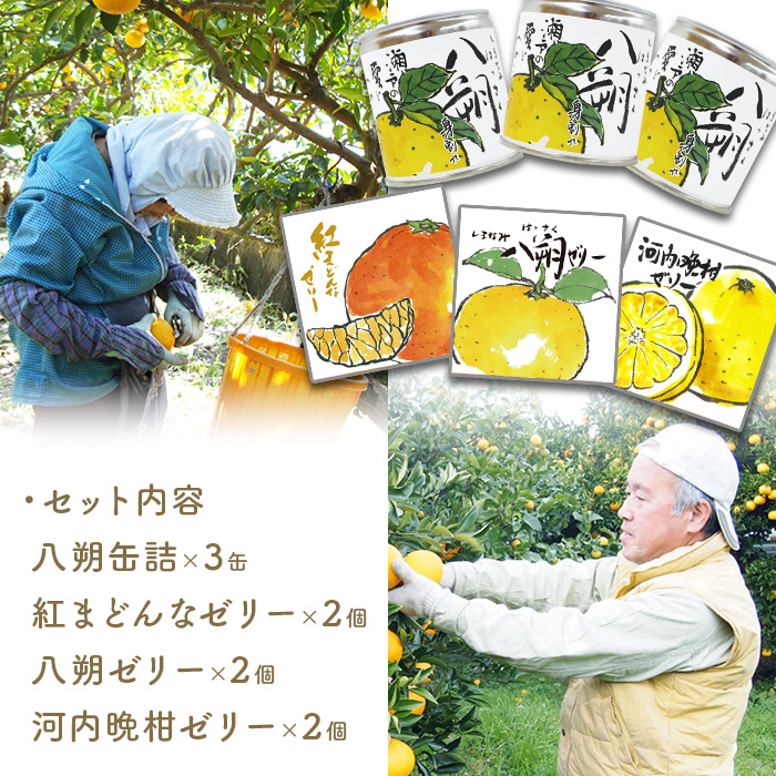 瀬戸内しまなみ柑橘物語 アソート