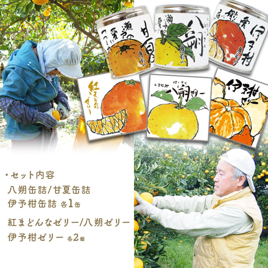 瀬戸内しまなみ柑橘物語 セレクト