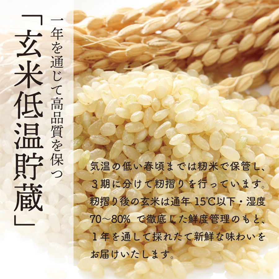 令和7年産 秋田県産 あきたこまち 無洗米 150g&times;30袋(4.5kg)