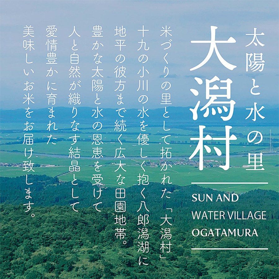 令和7年産 秋田県産 あきたこまち 無洗米 150g&times;30袋(4.5kg)
