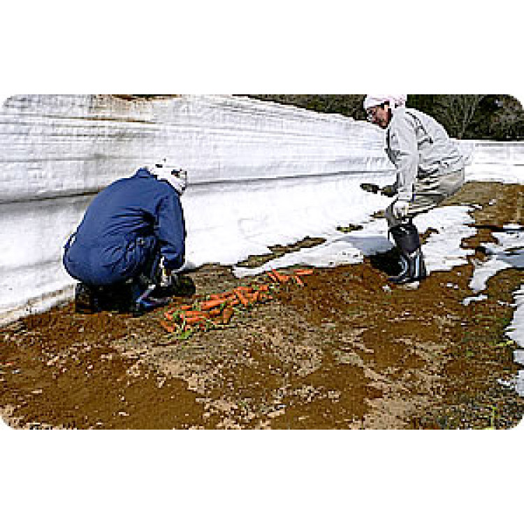 雪国生まれのおいしい人参ミックスジュース 62%タイプ 350ml &times;12本